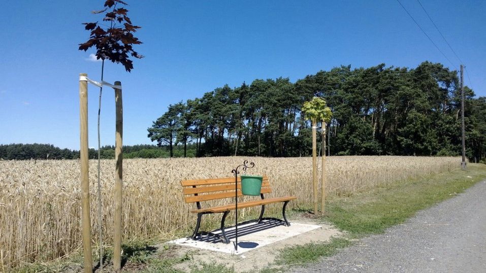 Szkoła Mistrzów Fotografii - komentarz 1