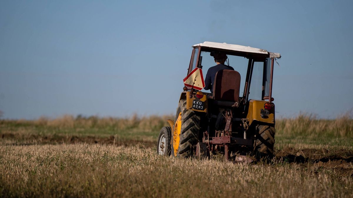 W 2020 roku rolnicy kupili prawie 10 000 nowych traktorów.