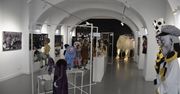Wystawa lalek, które zagrały w spektaklach Teatru Lalki i Aktora w Wałbrzychu. Jeszcze tylko do 3 maja