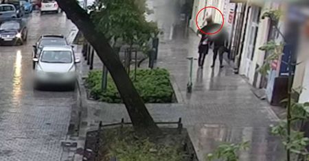 Owczarek niemiecki wyskoczył z okna mieszkania na drugim piętrze. Spadł na idącą chodnikiem 21-latkę [NAGRANIE]