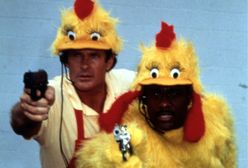 "Słoneczny patrol": David Hasselhoff przesadził?