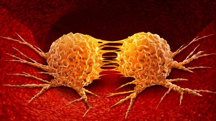 Kancerogeneza to proces wytwarzania w organizmie nieprawidłowych komórek nowotworowych oraz ich nadmierny rozrost