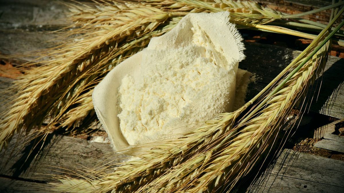 Biała mąka pszenna (przemysłowa), zaw. białka 11,5% (wzbogacona, bielona)