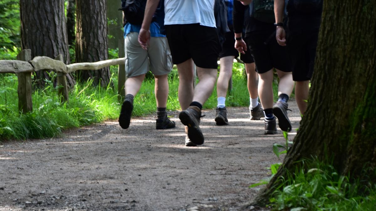 Legs Hiking
A group of hikers walking along the path at Friars Crag in Keswick in the English Lake District Cumbria. I captured the from the shoulders down to make it abstract . Captured during May 2024.
Christine Rose Photography