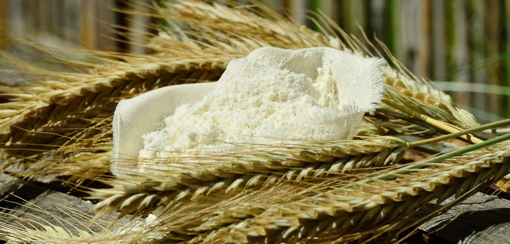 Biała mąka pszenna (przemysłowa), zaw. białka 11,5% (niewzbogacona, bielona)