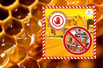 43 tony chińskiego miodu cofnięte z granicy. Co było nie tak?
