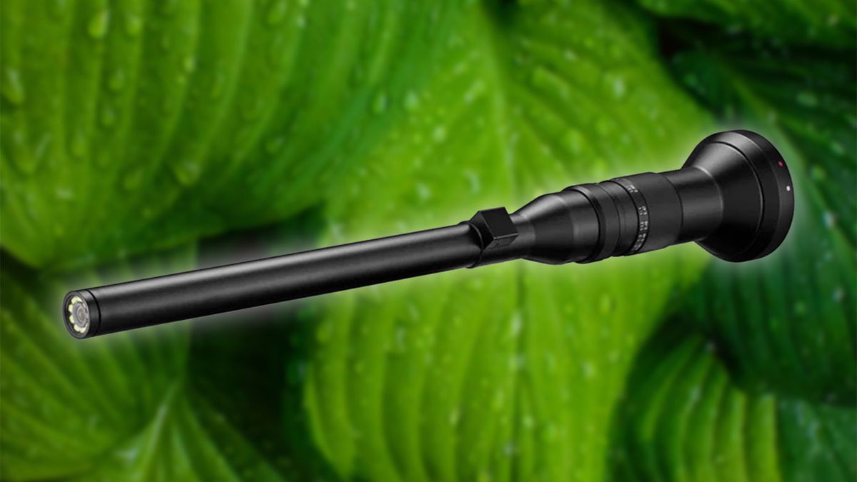 Laowa 24 mm f/14 2x Macro Probe – dziwny obiektyw w końcu się pojawił 1