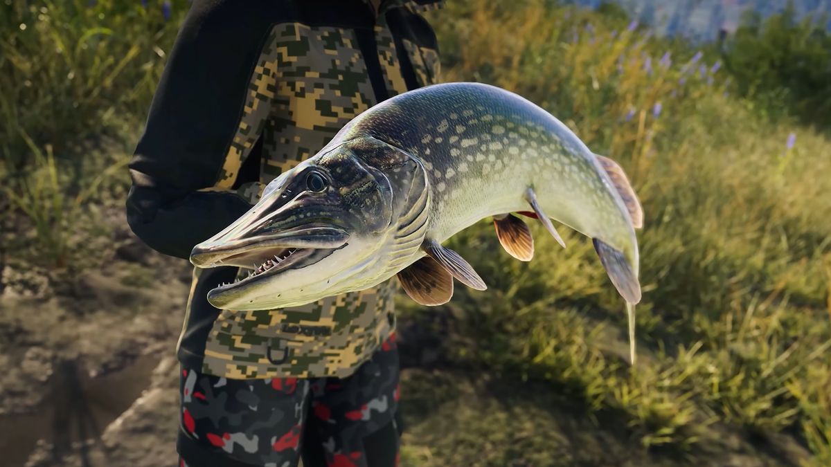 Call of the Wild: The Angler. Szczupak to jest król wód.