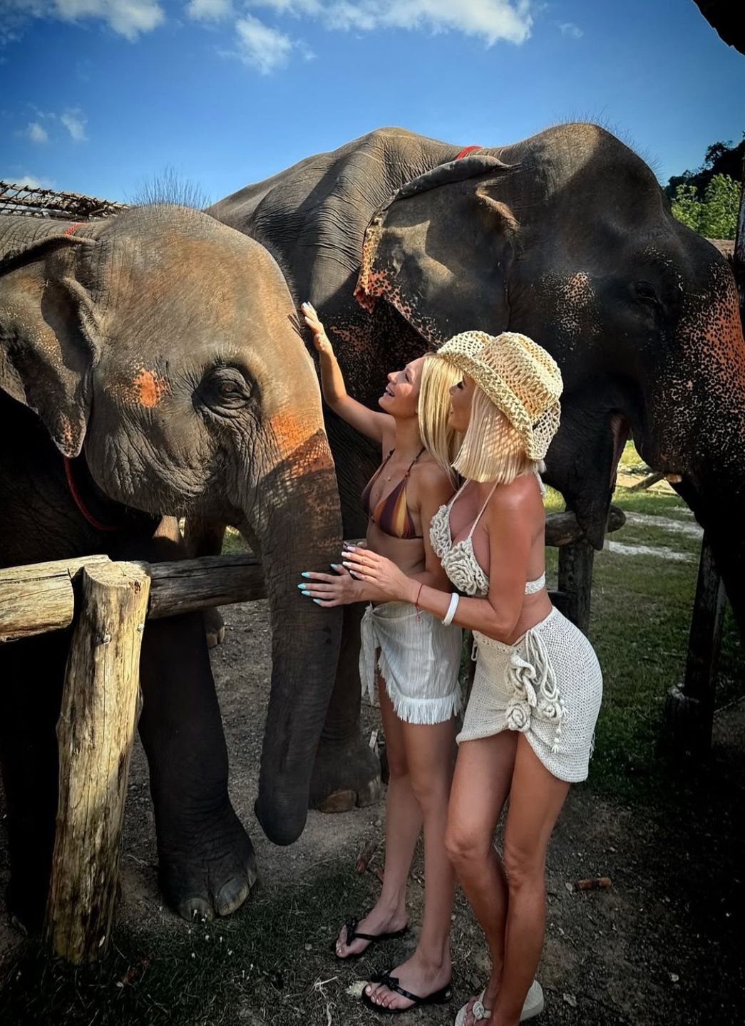 Izabela Macudzińska dokarmia słonie 