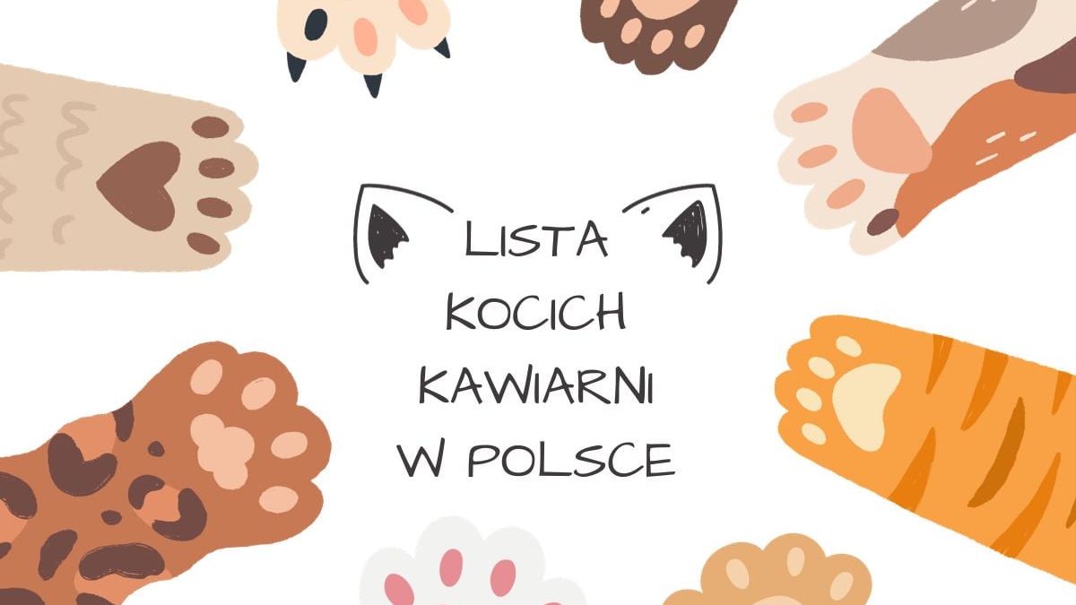 Kocia kawiarnia