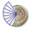 C.a.R. icon