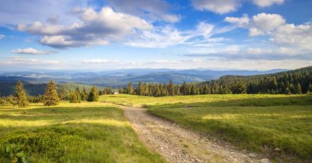Szlak Przyrody Województwa Śląskiego. Jest przewodnik online. 50 atrakcji w regionie