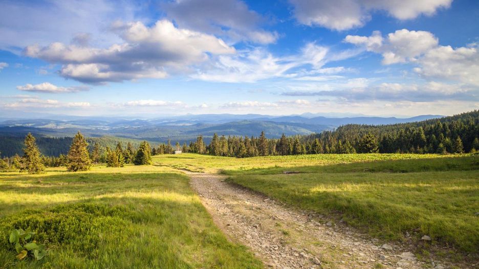 Śląskie. Rysianka i Hala Lipowska w Beskidach to jedna z atrakcji przewodnika.