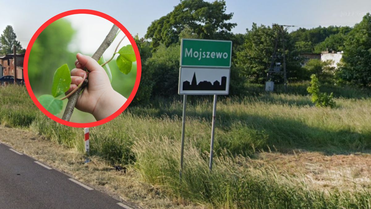 Mojszewo: Rodzice okładali dziecko gałęziami, by wypędzić demony