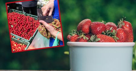 Poszedł na bazar i przeżył szok. Tyle zapłacił za polskie truskawki