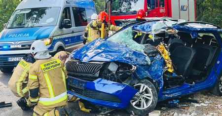 Samochód z pasażerami rozbity na drzewie. Kierowca zakleszczony we wraku