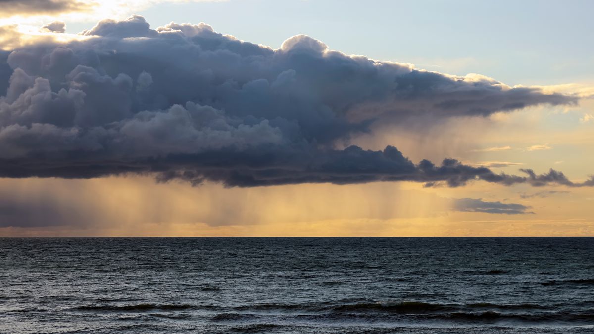 Niemieccy naukowcy przekazali najnowsze wyniki badań o Bałtyku 