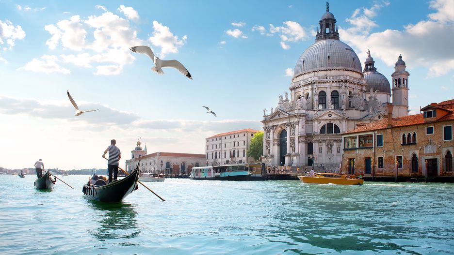 Mewy nad słynnym Canal Grande w Wenecji, w tle bazylika Santa Maria della Salute 
