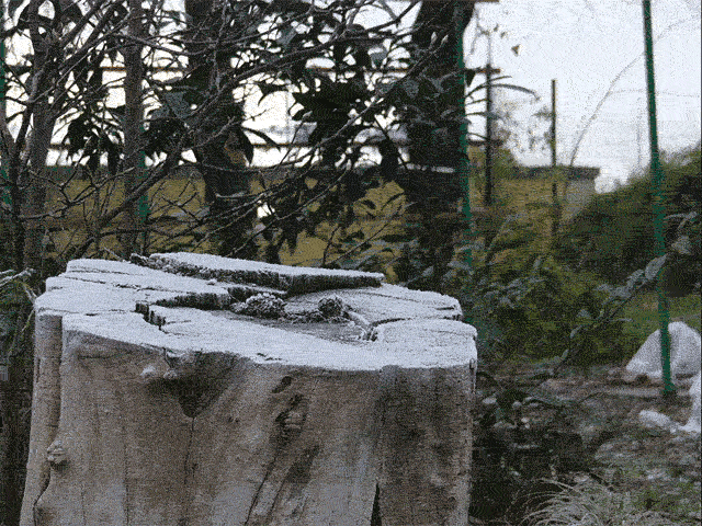 Sprawdzamy jak działa funkcja 4K Photo i Post Focus w aparatach Panasonic 4