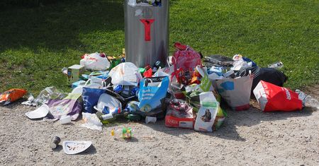 Co zrobić z odpadami w firmie?