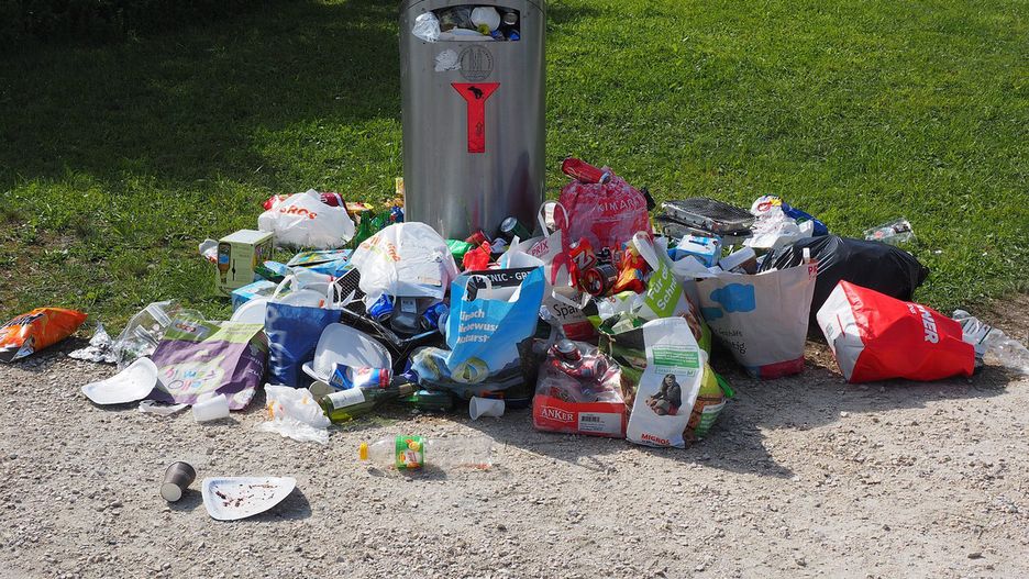Co zrobić z odpadami w firmie? 
