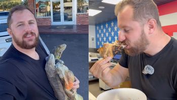 Kazał zrobić pizzę z legwanów i wywołał burzę w sieci. "Znęcanie się"