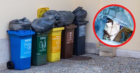 Zajrzeli do śmieci. Natychmiastowa reakcja. "Zapłacimy wszyscy"
