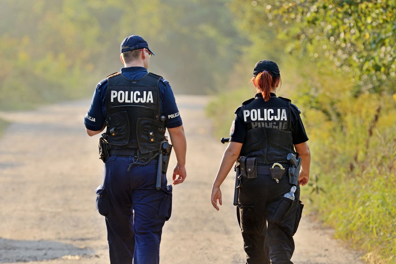 "Rabuś nie wzgardził porożem jelenia". Mężczyźnie grozi nawet 15 lat więzienia