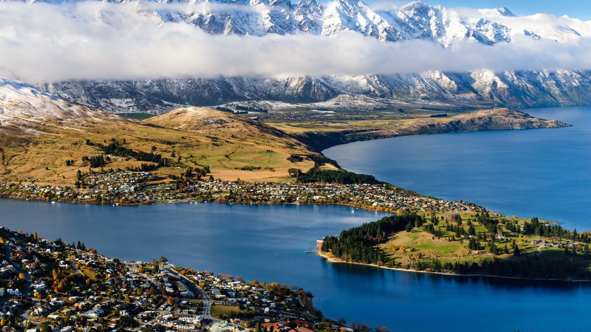 Psychrolutes marcidus została Rybą Roku w Nowej Zelandii