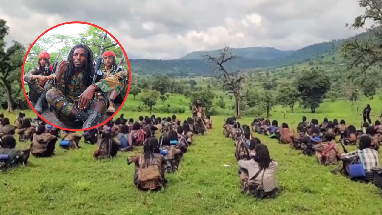 Niezwykle rzadki widok. Dziennikarze z kamerą w kryjówce rebeliantów