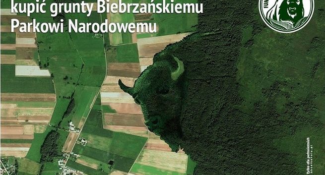 Żubr kupuje działki Biebrzańskiemu Parkowi Narodowemu