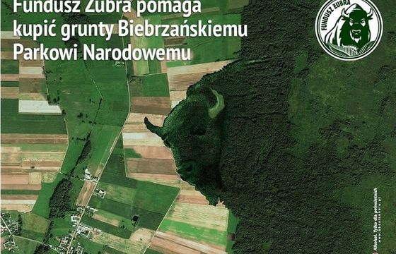 Żubr kupuje działki Biebrzańskiemu Parkowi Narodowemu