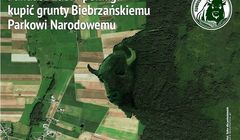 Żubr kupuje działki Biebrzańskiemu Parkowi Narodowemu
