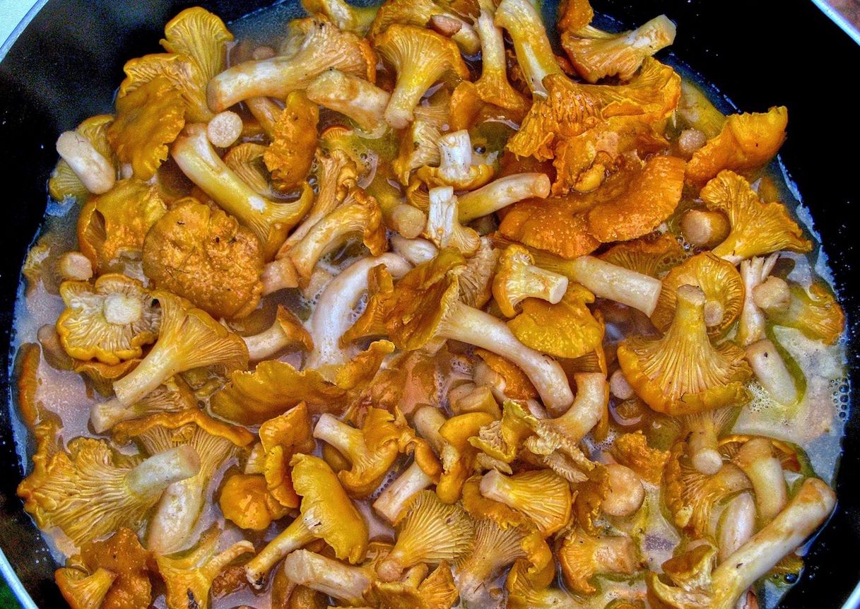 Jak zrobić sos z kurek? Tradycyjny przepis