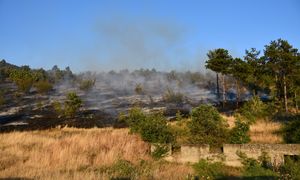 Serbia walczy z pożarami. 181 ognisk w ciągu doby
