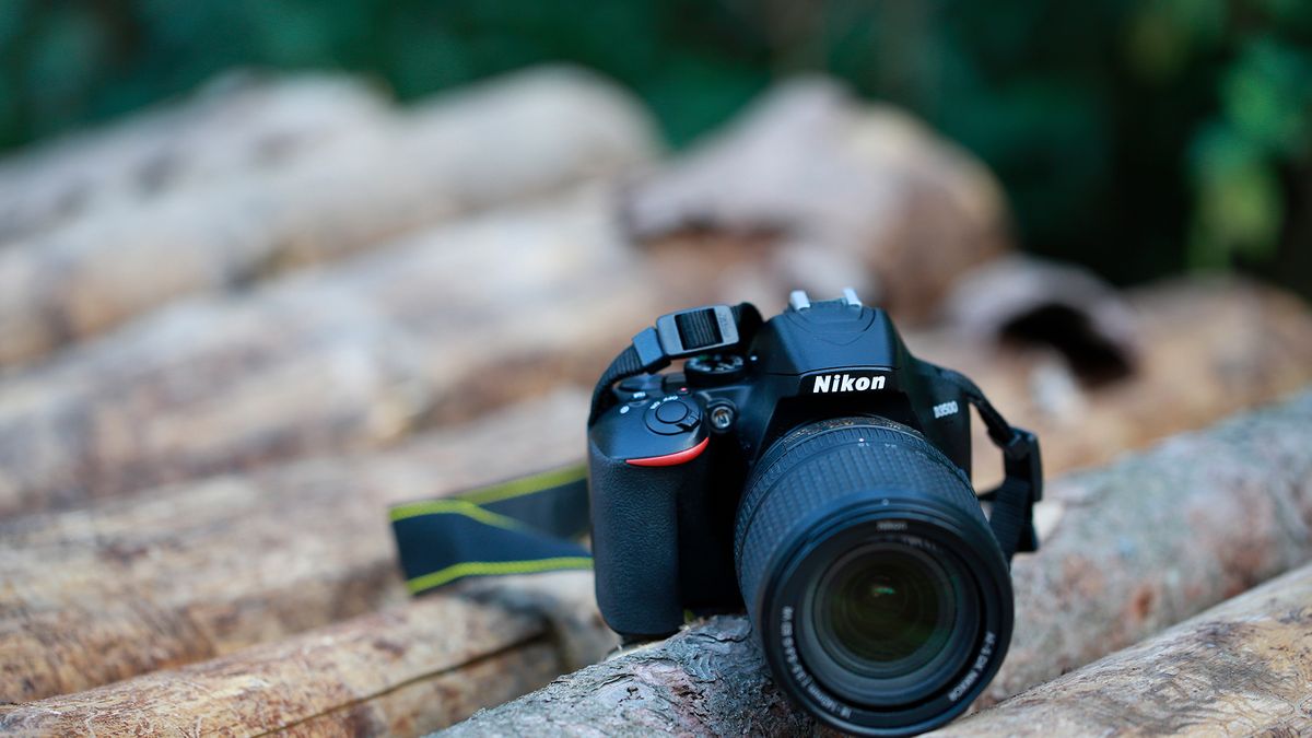 Nikon D3500 pomoże ci uchwycić najważniejsze momenty w życiu [test] 1