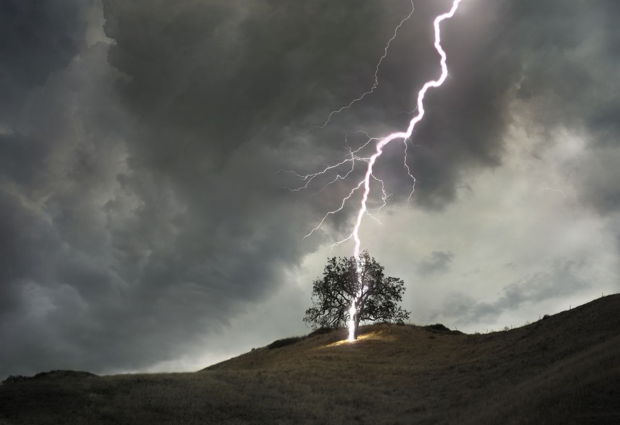 Pioruny zagrażają lasom. Mają dużo większy wpływ na lasy, niż zakładano