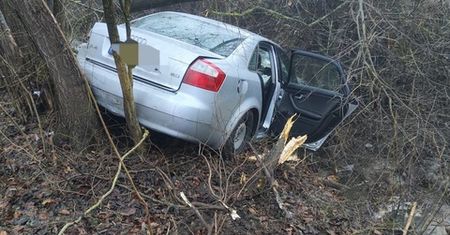 Wjechał do rowu osobowym audi i uderzył w drzewo