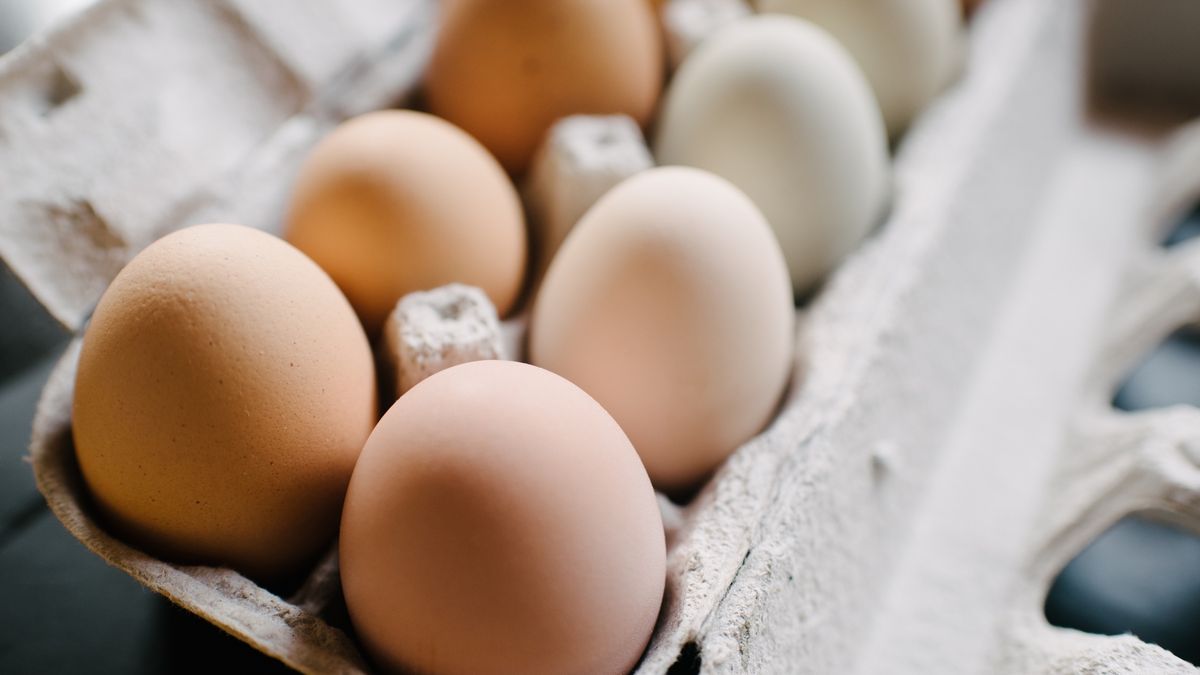 Jak wykorzystać opakowanie po jajkach?