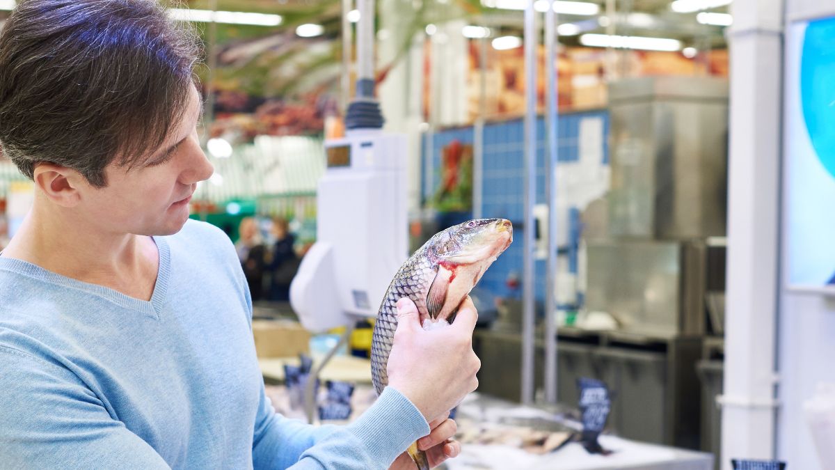 Jak kupować najlepszej jakości karpia?