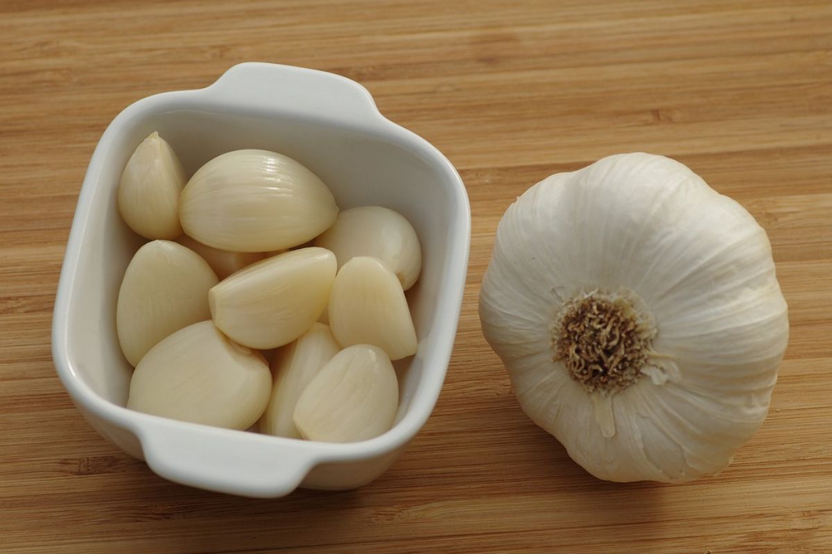 Why is it worth eating garlic?