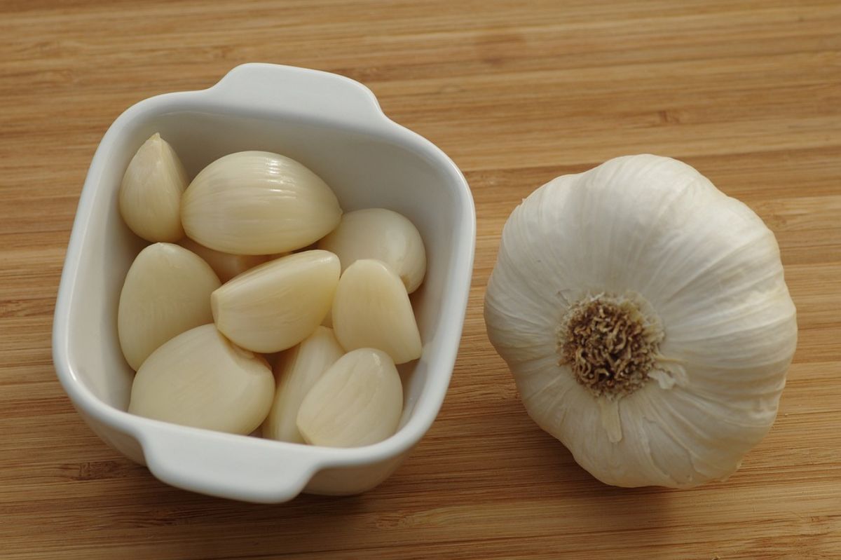 New study reveals garlic's potential in managing blood sugar and cholesterol