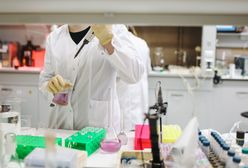 Wrocław. Koronawirus w korporacji. Sanepid przekonuje, że nie ma nowego ogniska choroby