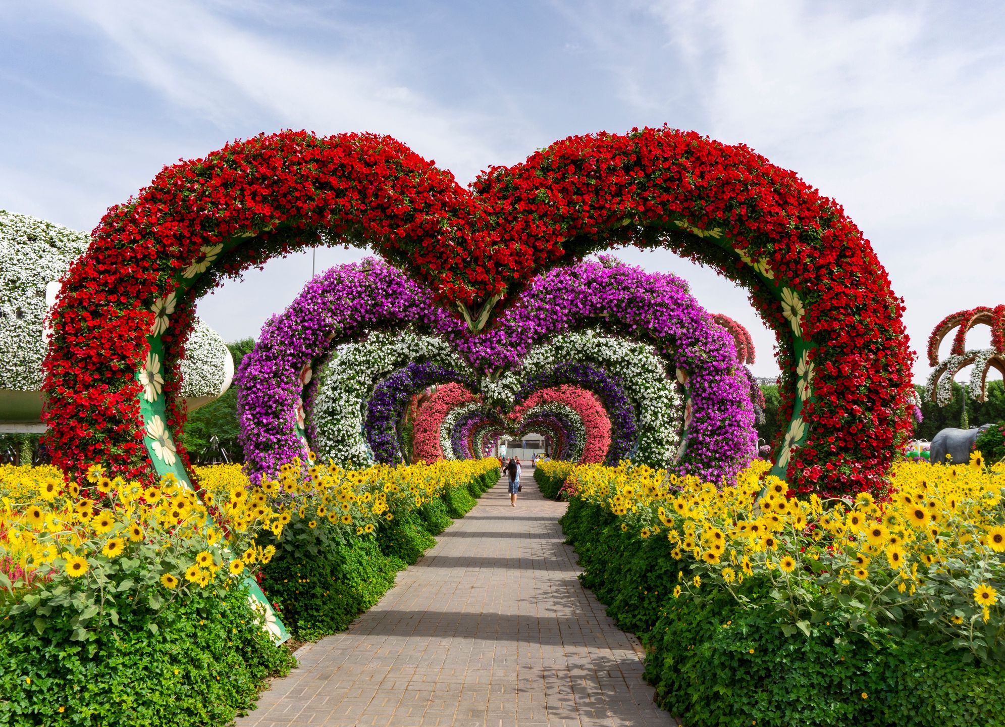 Jedna z alejek w Dubai Miracle Garden 