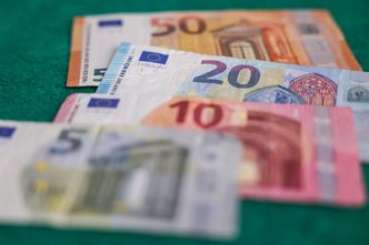 Problem z walutą euro. Ekspert wskazuje na przykład Niemiec