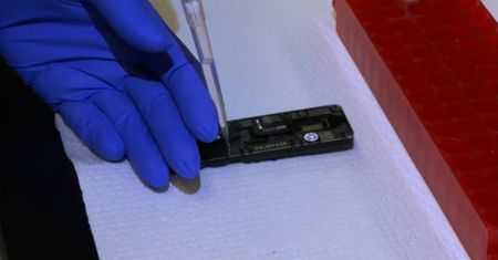Ludzki genotyp w pełni odkryty. Przełomowe badania naukowców