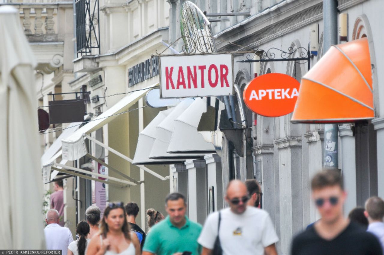 Zalety strefy euro. Ekonomiści o korzyściach dla Polski