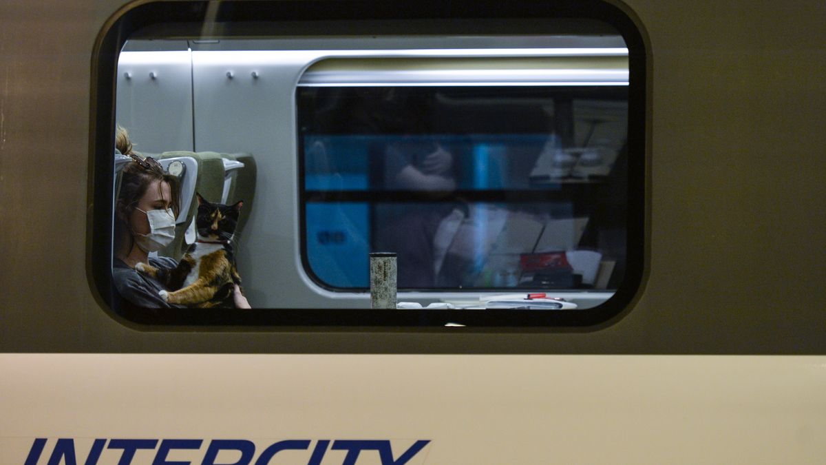 zniżki dla ozdrowieńców