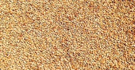 Uwaga na sezam z Lidla! GIS wycofuje 3 partii produktu ze względu na wykrycie rakotwórczego związku