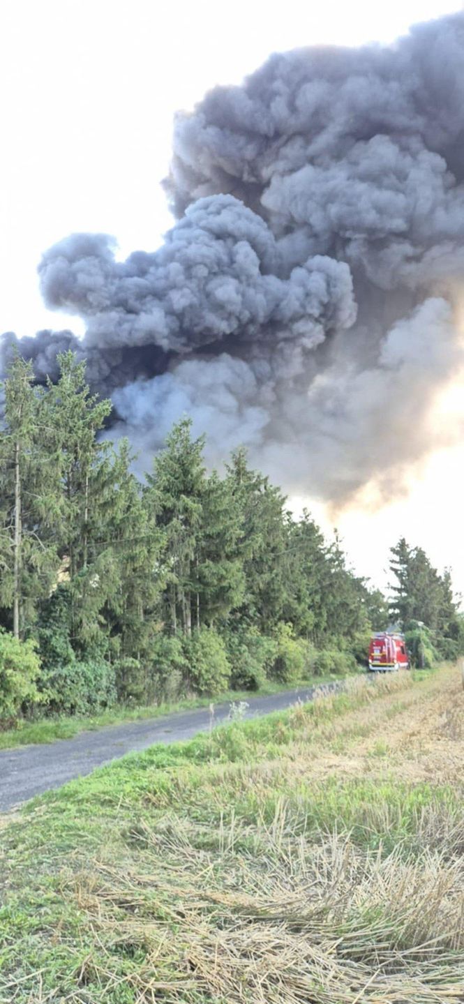 Pożar hali w Siarzewie
